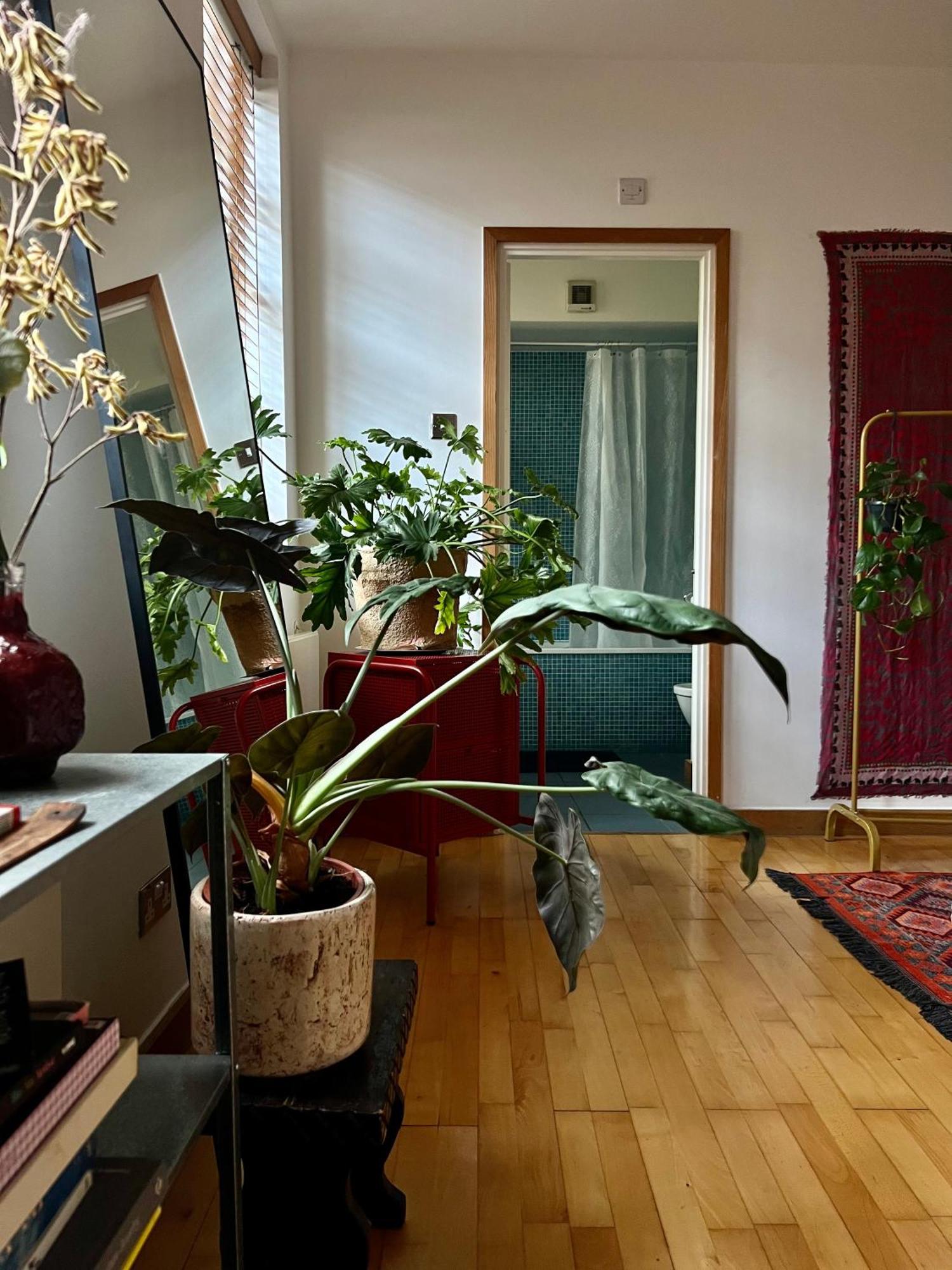 Huge Room For Recharge And Relaxation In Loft With Sauna In Central London Exterior photo